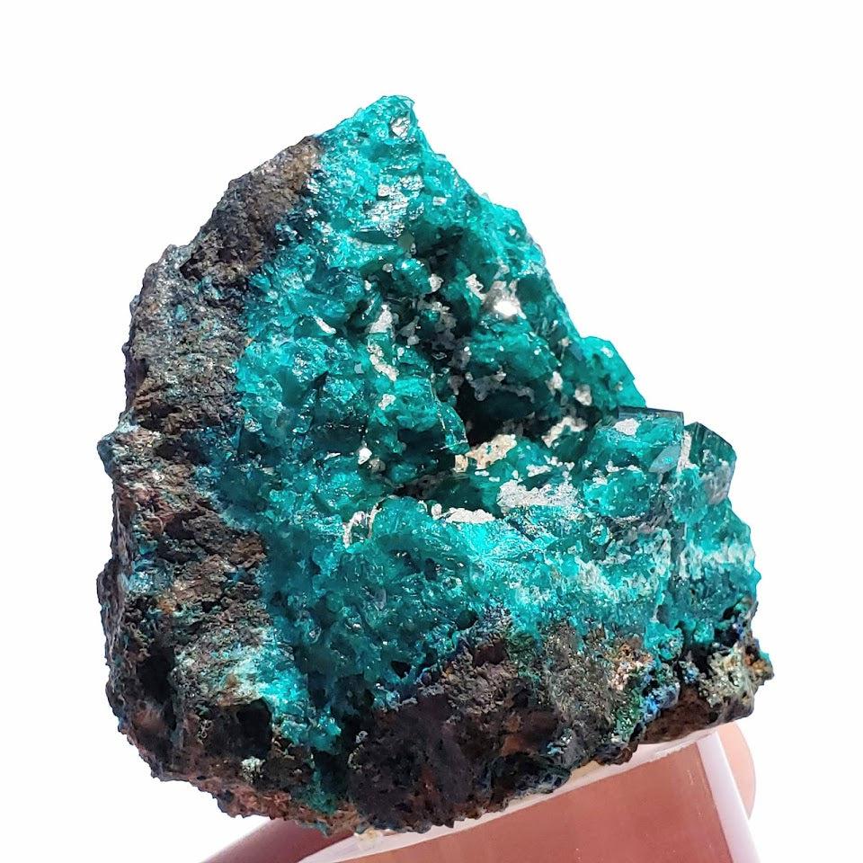 Rare Dioptase Collectors Specimen From Katanga Provine, Congo~ Mounted on Clear Display Stand - Earth Family Crystals