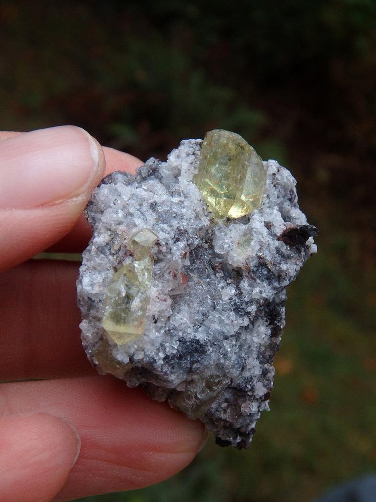 Vibrant Golden Yellow Apatite Points Nestled In Matrix - Earth Family Crystals